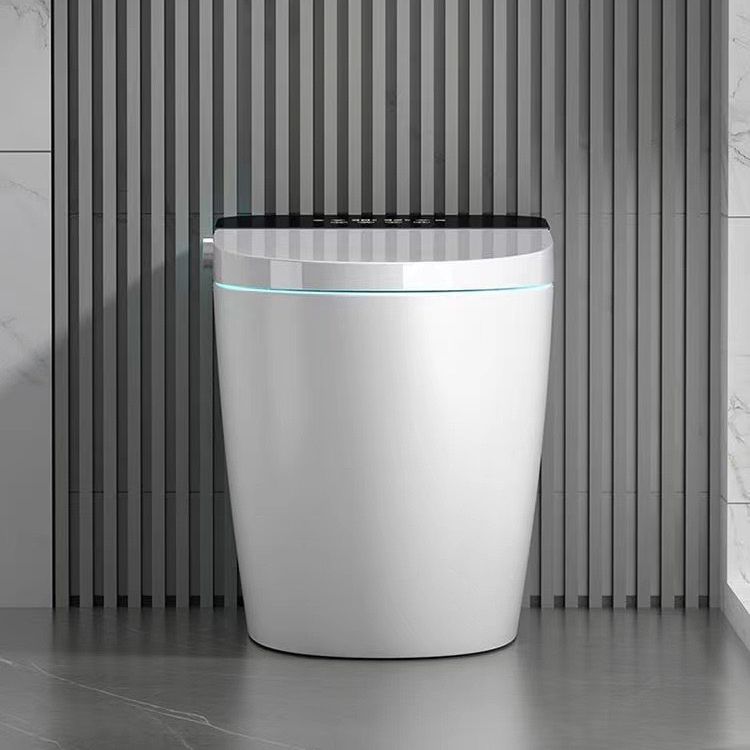 Smart Toilet