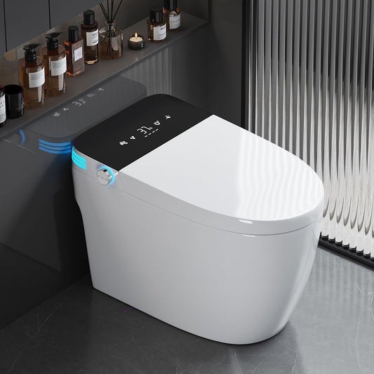 Smart Toilet