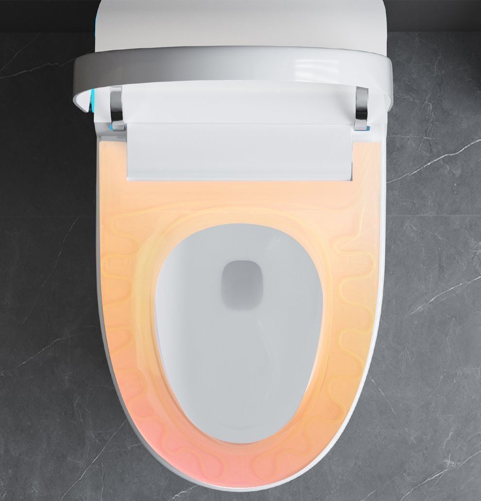 Smart Toilet